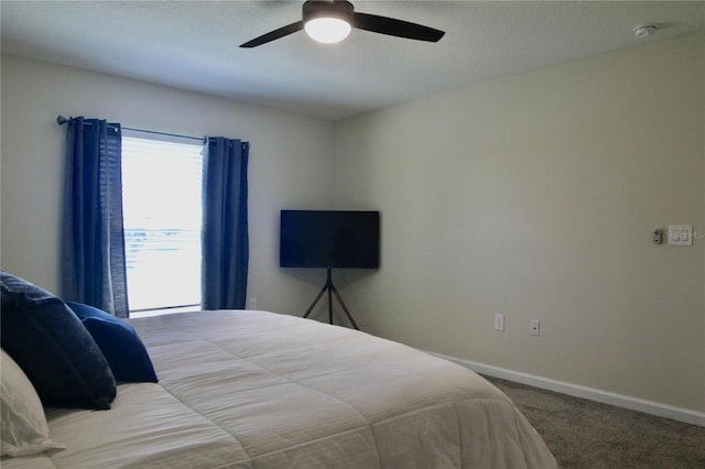 169 White Horse Way, Groveland, FL 34736 - photo 16