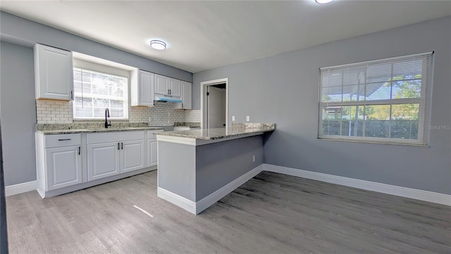 1965 Williams Manor Ave, Orlando, FL 32811 - photo 5
