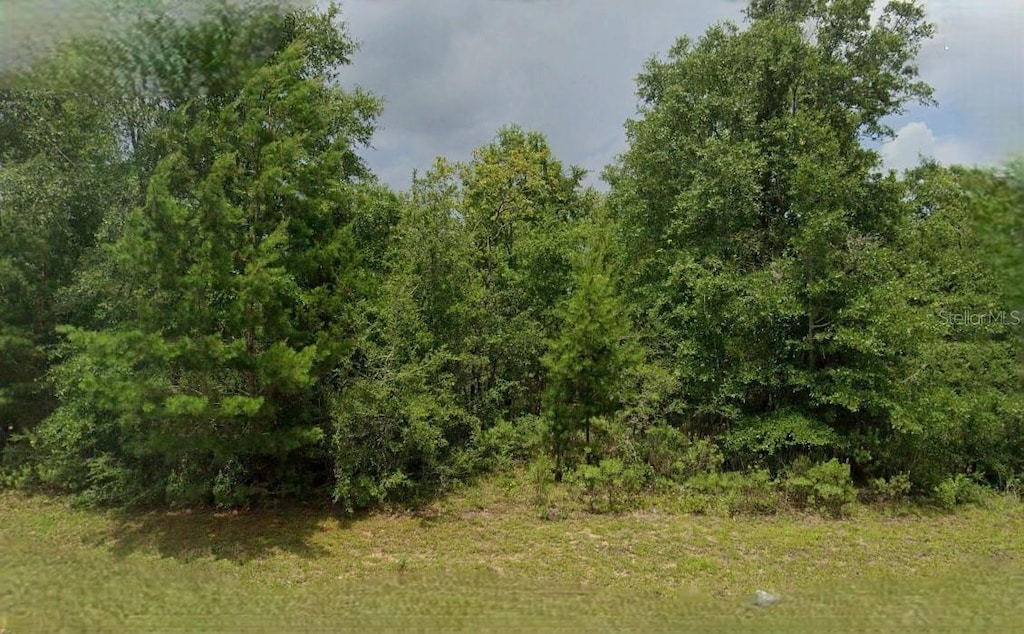 Lincoln Ave, Alford, FL 32420 - photo 1