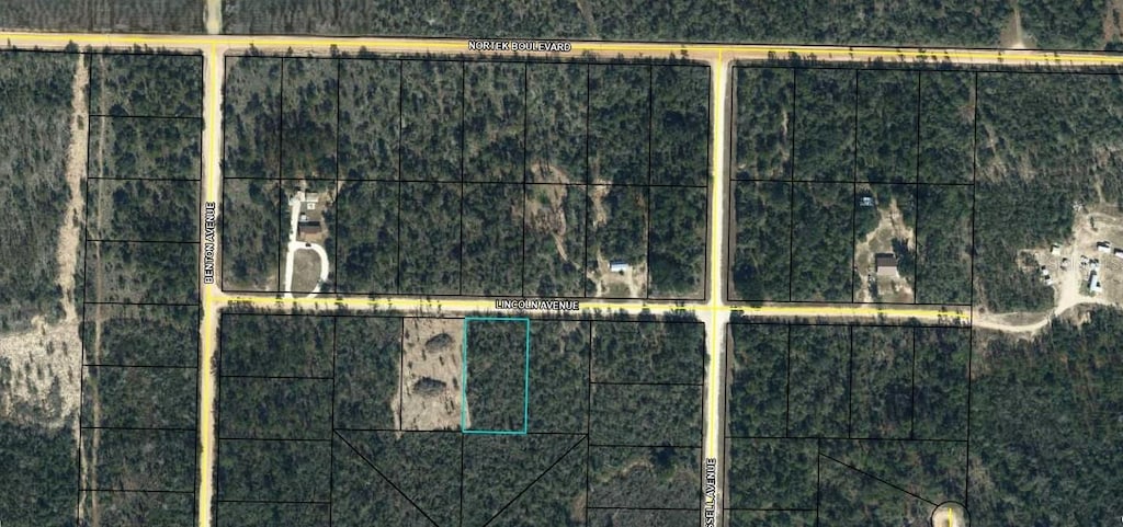 Lincoln Ave, Alford, FL 32420 - photo 2