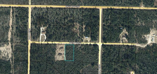 Lincoln Ave, Alford, FL 32420 - photo 2