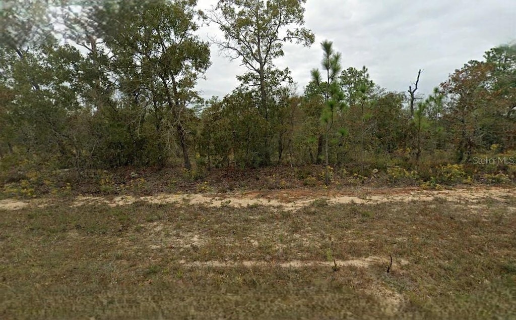 Westbrook Dr, Chipley, FL 32428 - photo 1