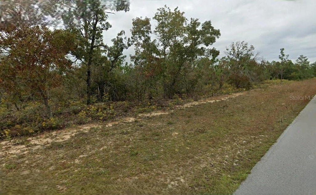 Westbrook Dr, Chipley, FL 32428 - photo 3