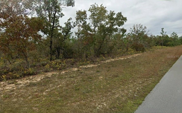 Westbrook Dr, Chipley, FL 32428 - photo 3