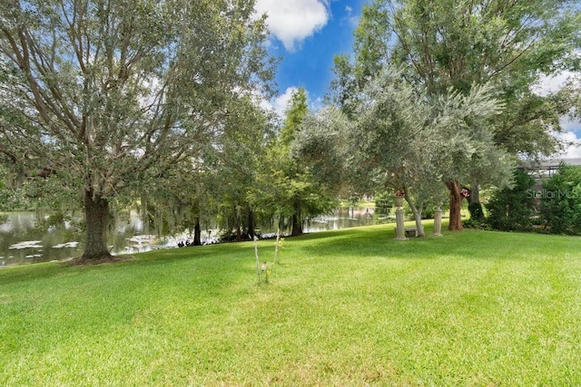 6139 Andreozzi Ln, Windermere, FL 34786 - photo 36