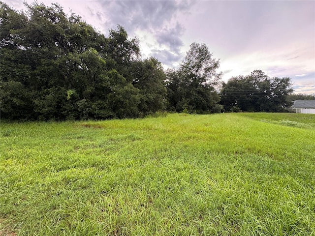 SW 142nd Place Rd, Ocala, FL 34473 - photo 1