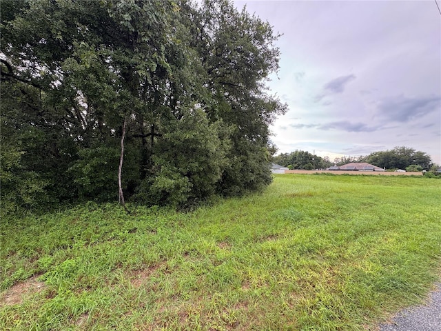 SW 142nd Place Rd, Ocala, FL 34473 - photo 2