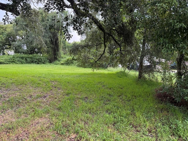20th St, Orlando, FL 32805 - photo 3