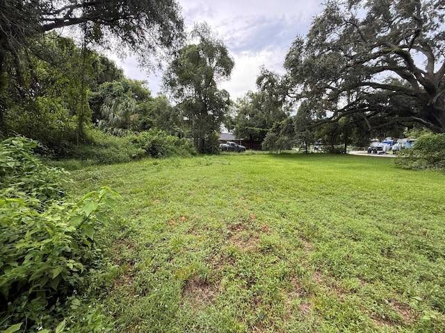 20th St, Orlando, FL 32805 - photo 5