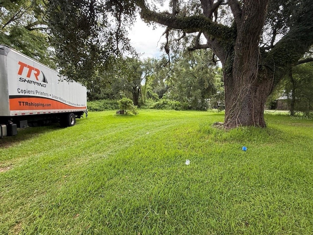 20th St, Orlando, FL 32805 - photo 6