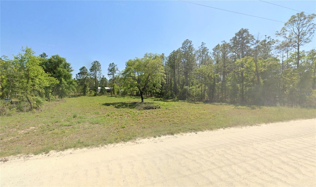 NE 10th St, Williston, FL 32696 - photo 1