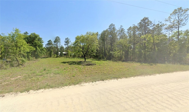 NE 10th St, Williston, FL 32696 - photo 1