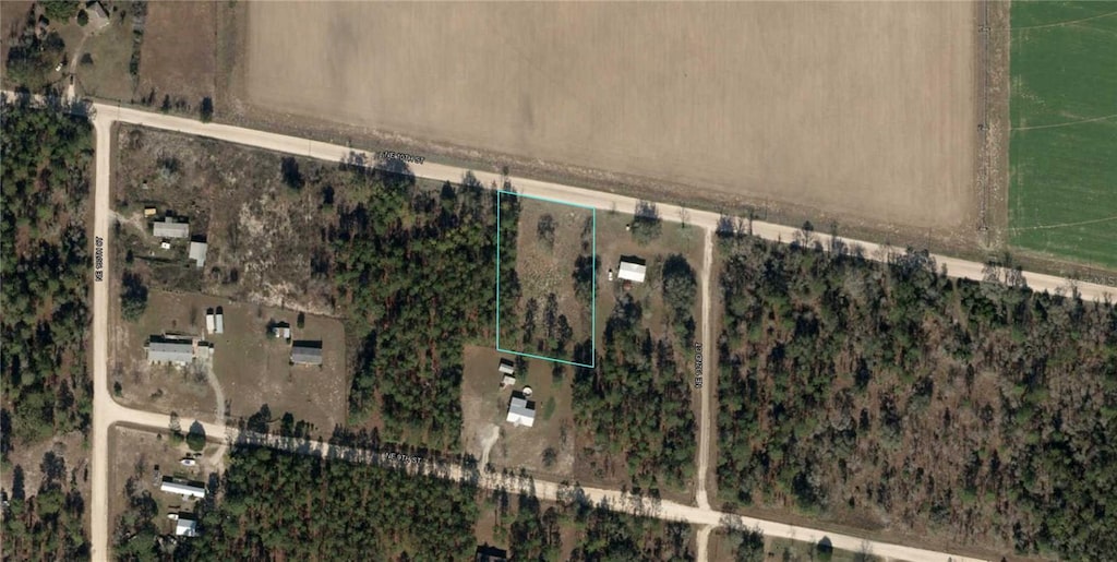 NE 10th St, Williston, FL 32696 - photo 2