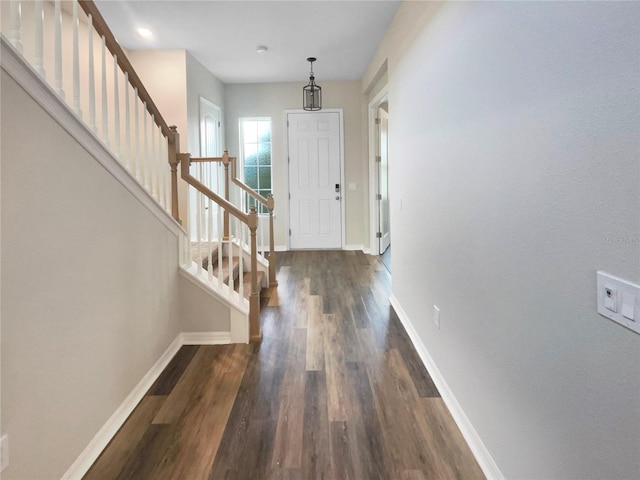 2023 White Feather Loop, Oakland, FL 34787 - photo 12