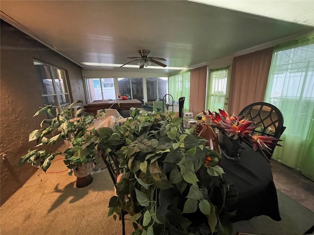 7811 Myrtle Oak Ln, Kissimmee, FL 34747 - photo 34
