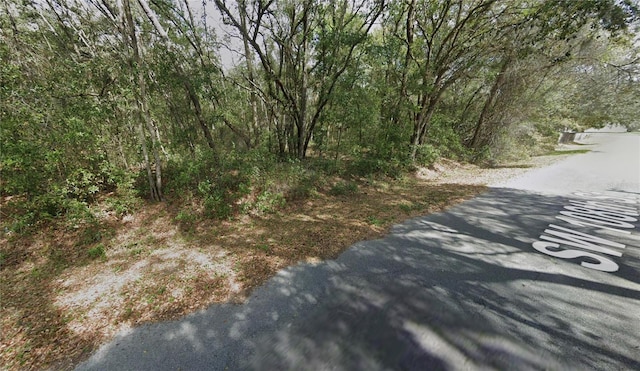 SW 108th St, Dunnellon, FL 34432 - photo 2