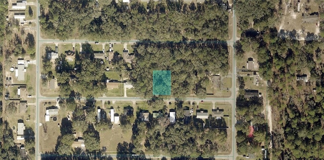 SW 108th St, Dunnellon, FL 34432 - photo 3