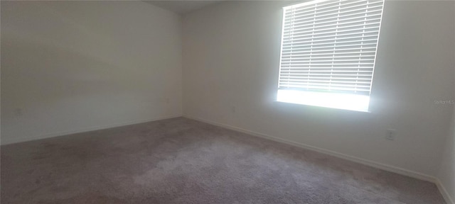 4949 Jackson St, Winter Haven, FL 33884 - photo 5