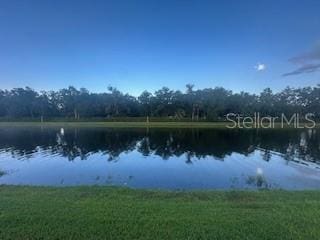 924 Red Haven Ln, Oviedo, FL 32765 - photo 7