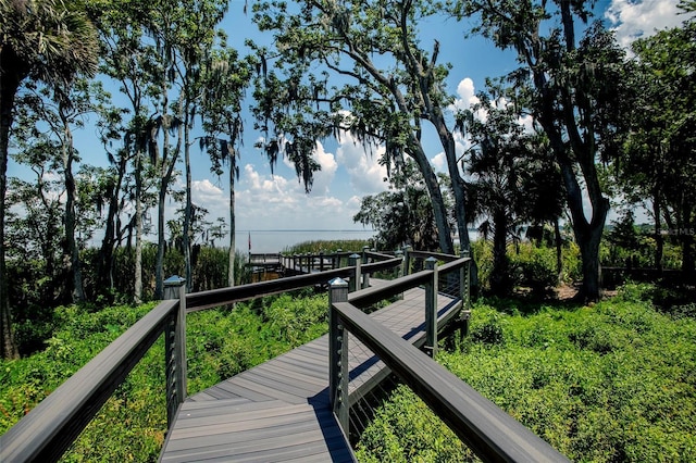 521 Lake Cove Pointe Cir, Winter Garden, FL 34787 - photo 28
