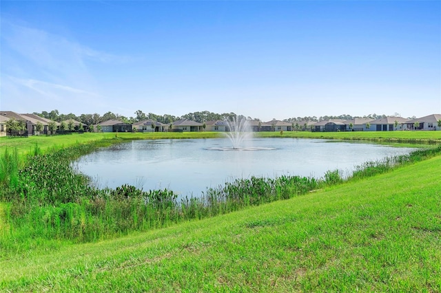 17751 Blazing Star Cir, Clermont, FL 34714 - photo 25