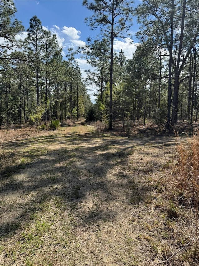 SW 156th Ct, Ocala, FL 34481 - photo 1