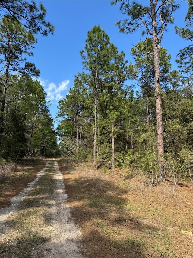 SW 156th Ct, Ocala, FL 34481 - photo 2
