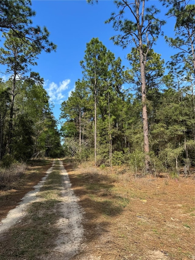 SW 156th Ct, Ocala, FL 34481 - photo 3