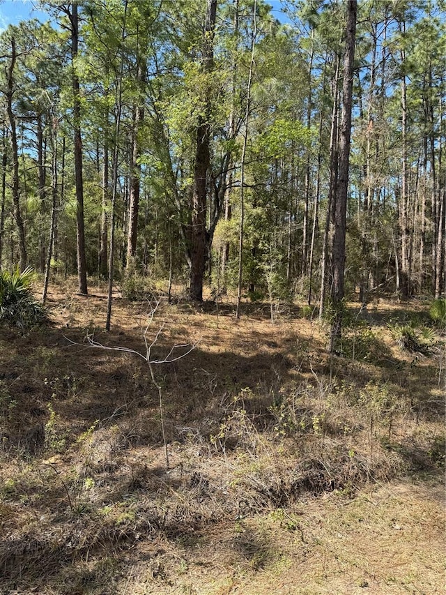 SW 156th Ct, Ocala, FL 34481 - photo 5