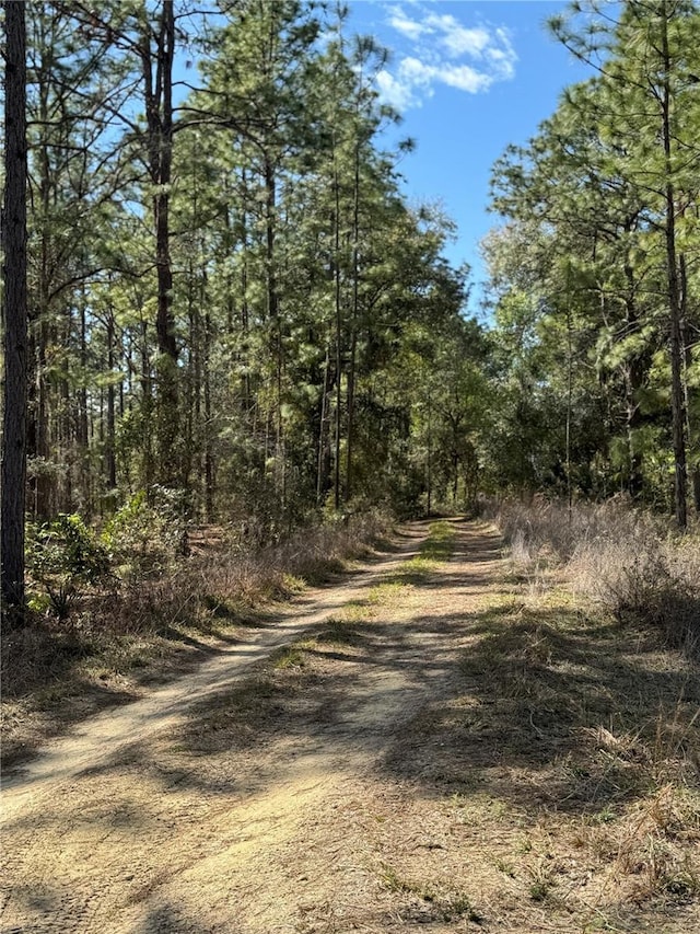 SW 156th Ct, Ocala, FL 34481 - photo 6
