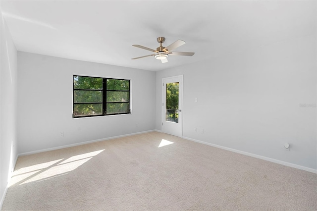 624 Baynard Dr, Tarpon Springs, FL 34689 - photo 17