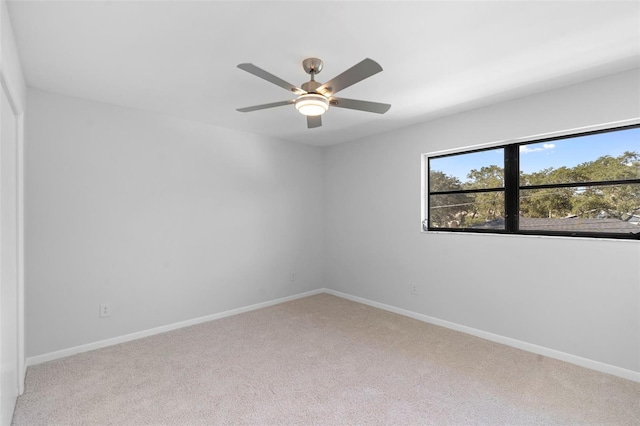 624 Baynard Dr, Tarpon Springs, FL 34689 - photo 21