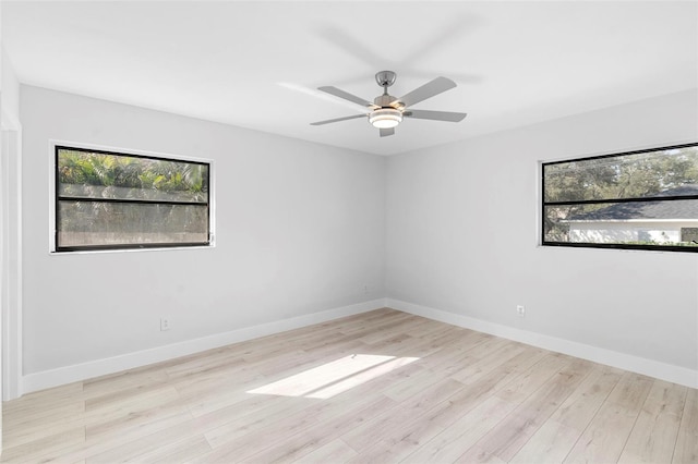624 Baynard Dr, Tarpon Springs, FL 34689 - photo 24