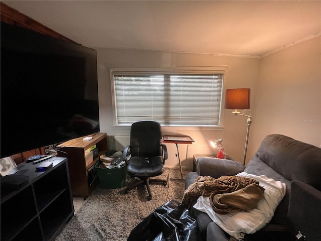 5117 8th St, Zephyrhills, FL 33542 - photo 7