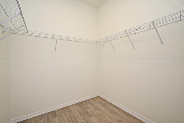 8029 Bright Ct, Orlando, FL 32836 - photo 39