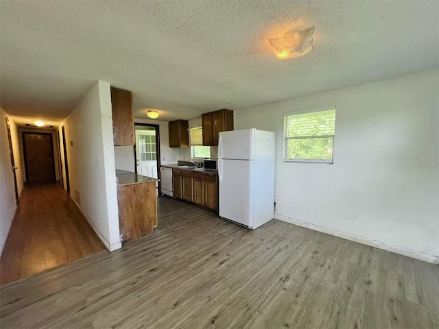 4612 Rock Springs Rd, Apopka, FL 32712 - photo 6