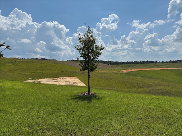 2063 Keystone Pass Blvd, Minneola, FL 34715 - photo 27