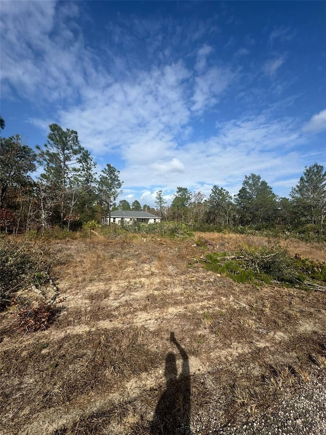 3504 W Seahorse Ln, Dunnellon, FL 34433 - photo 2