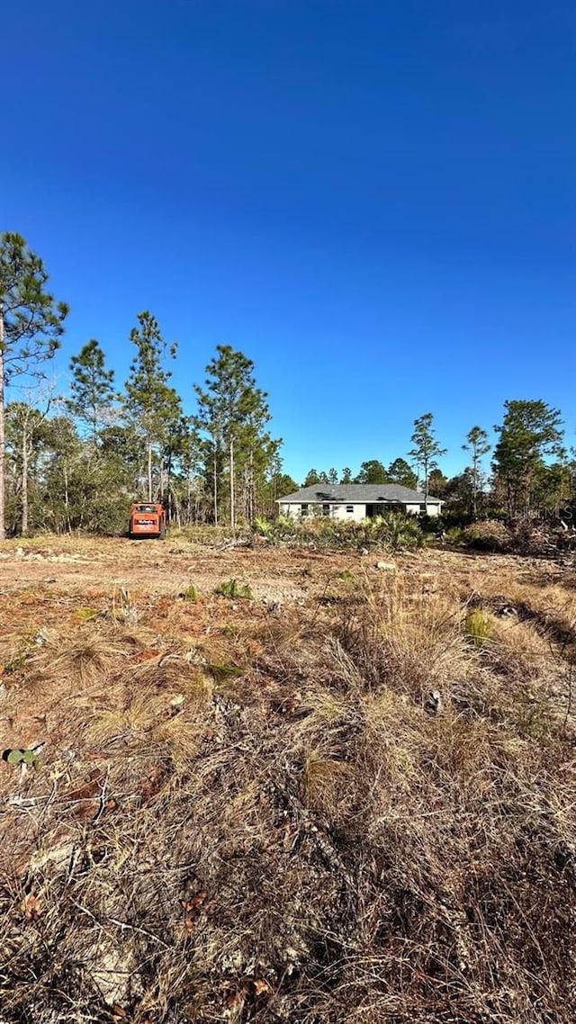 3504 W Seahorse Ln, Dunnellon, FL 34433 - photo 3