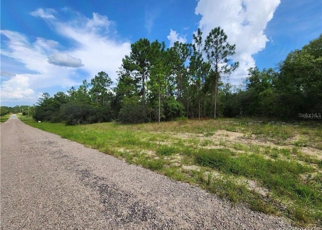 3504 W Seahorse Ln, Dunnellon, FL 34433 - photo 5