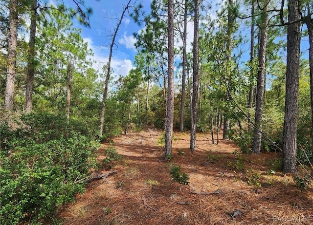 3504 W Seahorse Ln, Dunnellon, FL 34433 - photo 6