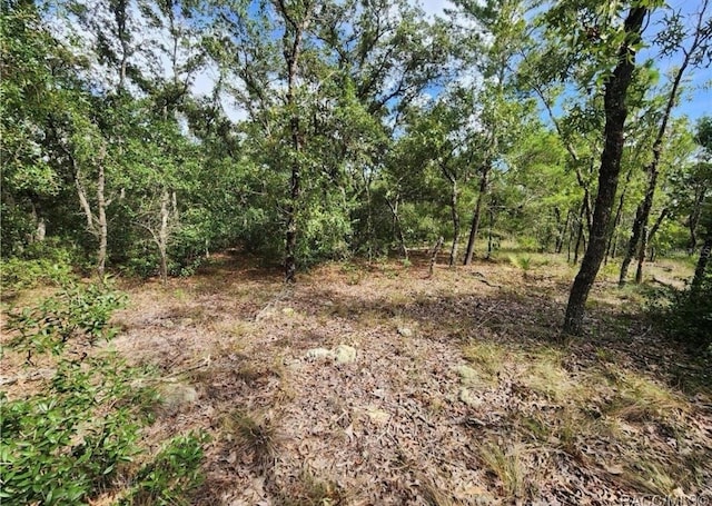 3504 W Seahorse Ln, Dunnellon, FL 34433 - photo 7