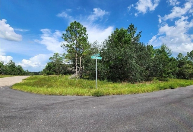 3504 W Seahorse Ln, Dunnellon, FL 34433 - photo 8