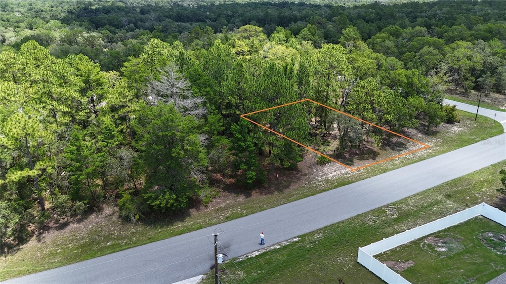 1971 W G Martinelli Blvd, Citrus Springs, FL 34434 - photo 1