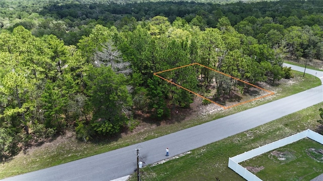 1971 W G Martinelli Blvd, Citrus Springs, FL 34434 - photo 1