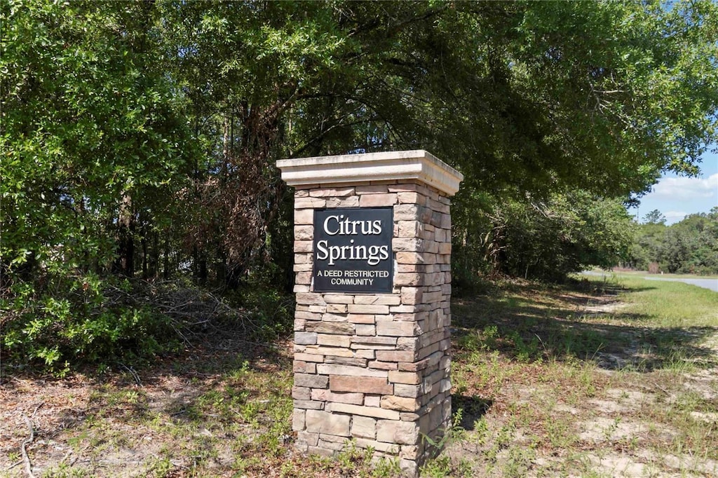 1971 W G Martinelli Blvd, Citrus Springs, FL 34434 - photo 2