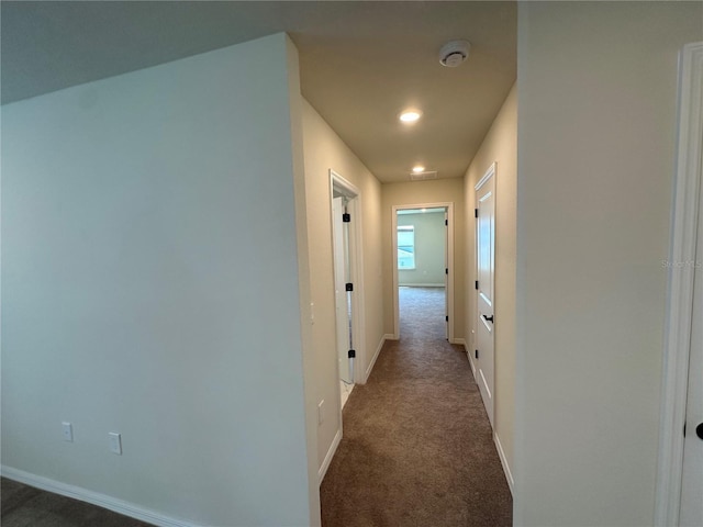 10355 Parkview Reserve Ln, Orlando, FL 32836 - photo 41
