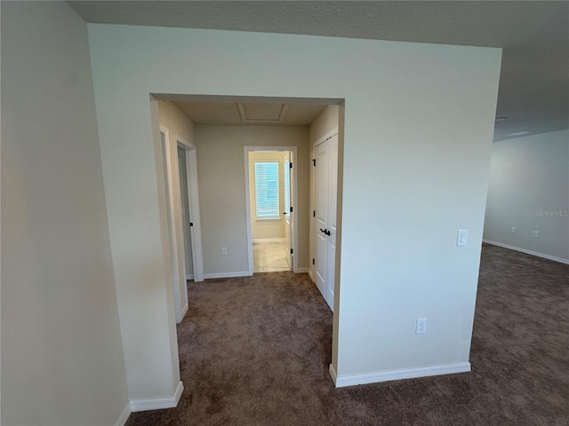 10355 Parkview Reserve Ln, Orlando, FL 32836 - photo 50