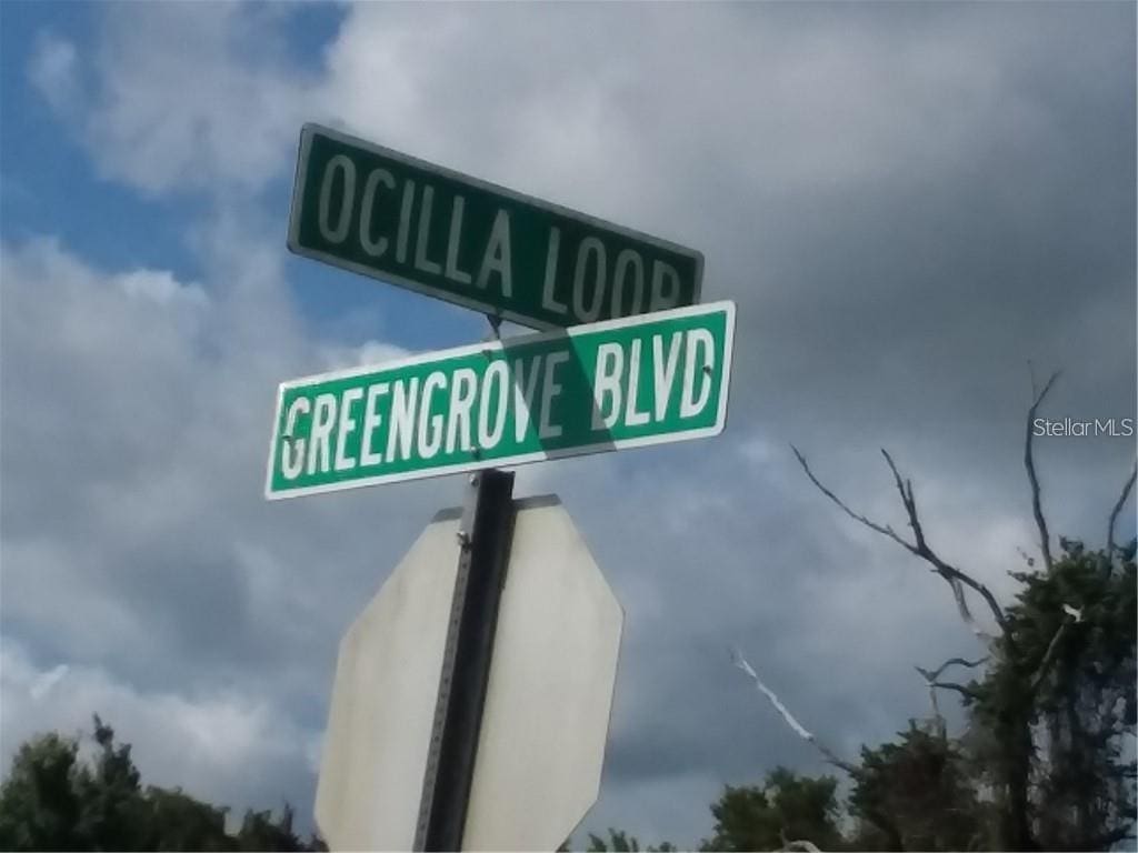 Greengrove Blvd Unit Lot26, Clermont, FL 34714 - photo 1