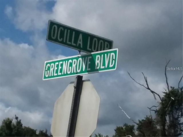 Greengrove Blvd Unit Lot26, Clermont, FL 34714 - photo 1